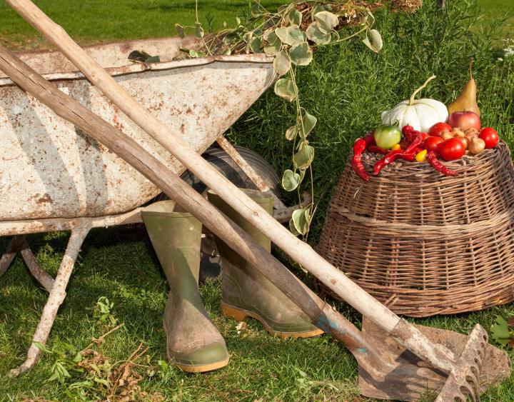 wheelbarrow with fall cleanup, boots and shovel